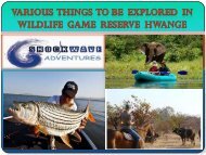 Various  things  to be  explored  in Wildlife  Game  Reserve  Hwange