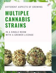 Different Aspects of Growing Multiple Cannabis Strains in a Single Room with a Grower License