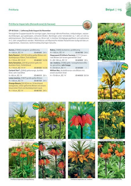 Blumenzwiebelkatalog 2019