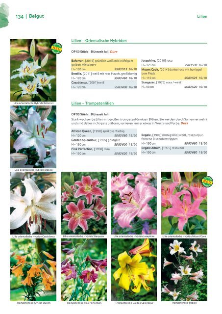 Blumenzwiebelkatalog 2019