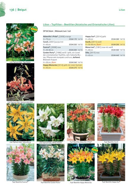 Blumenzwiebelkatalog 2019