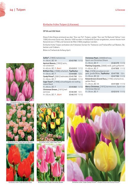 Blumenzwiebelkatalog 2019