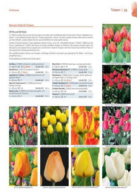 Blumenzwiebelkatalog 2019