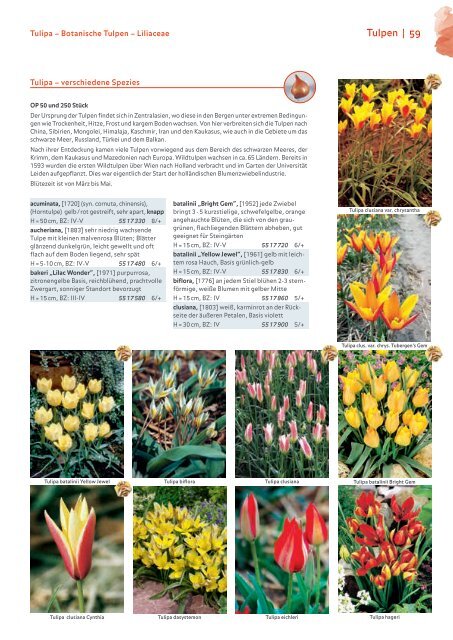 Blumenzwiebelkatalog 2019