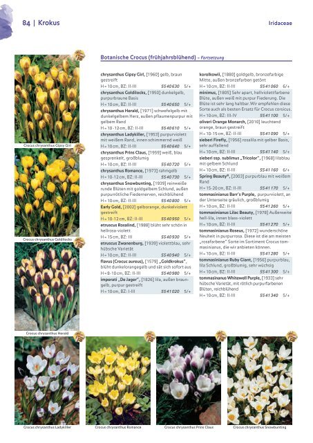 Blumenzwiebelkatalog 2019