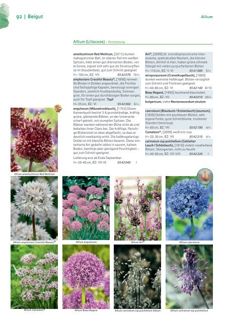 Blumenzwiebelkatalog 2019