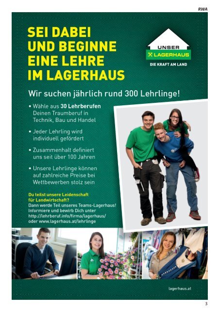 Steiermark Lehrstellen 2019