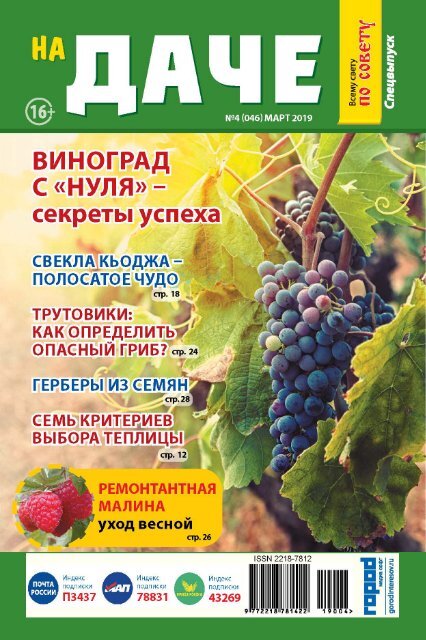 спец на даче №4 