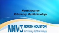North Houston Veterinary  Ophthalmology (slide)