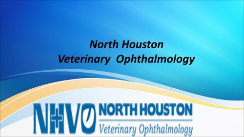 North Houston Veterinary  Ophthalmology (slide)