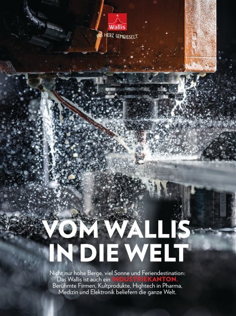 Vom Wallis in die Welt