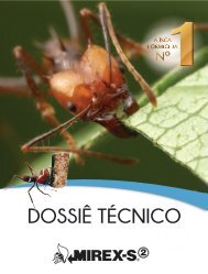 Dossiê Tecnico Mirex-S2 - 2018