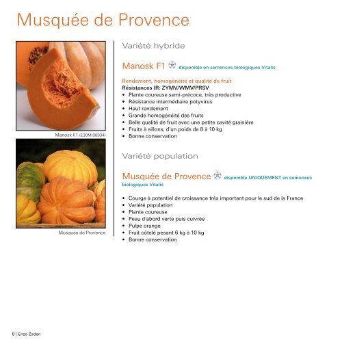 Catalogue courges 2020