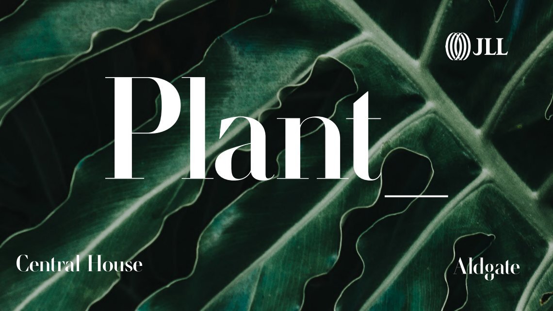 1 Free Magazines From SIANNAGROVER