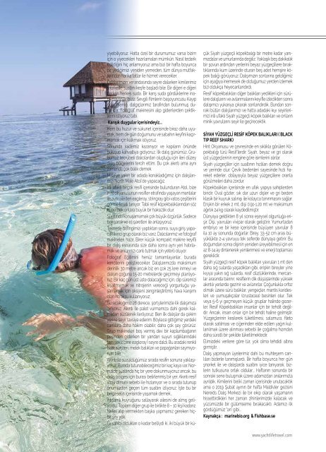 YachtLife &Travel April Issue 2019