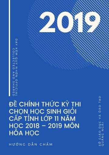  ĐỀ CHÍNH THỨC KỲ THI CHỌN HỌC SINH GIỎI CẤP TỈNH LỚP 11 NĂM HỌC 2018 - 2019 MÔN HÓA HỌC SỞ GIÁO DỤC QUẢNG NGÃI (HƯỚNG DẪN CHẤM)