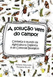 A solução vem do campo - Conheça o mundo da agricultura orgânica e do campo biológico