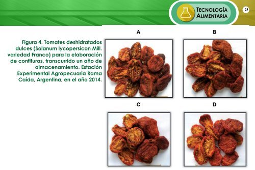 ALIMENTARIA INTEGRAL ABRIL 2019