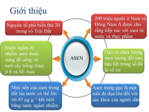 Hàm lượng cao asen vô cơ trong gạo ở những khu vực sử dụng nước bị ô nhiễm asen cho tưới tiêu và nấu ăn