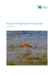 BirdLife Sveriges program för fågelskydd