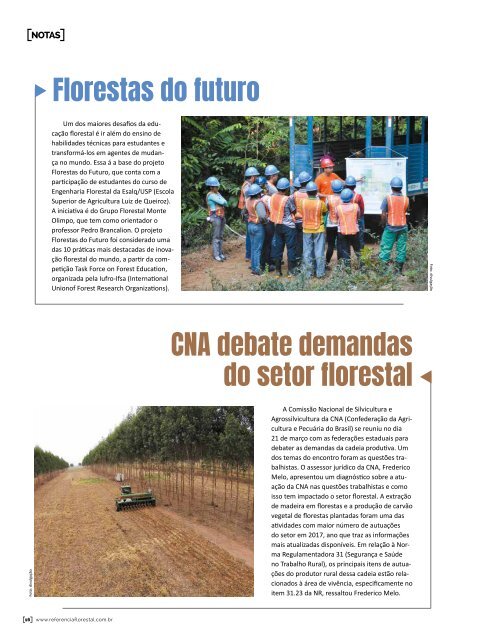 *Abril / 2019 - Referência Florestal 206