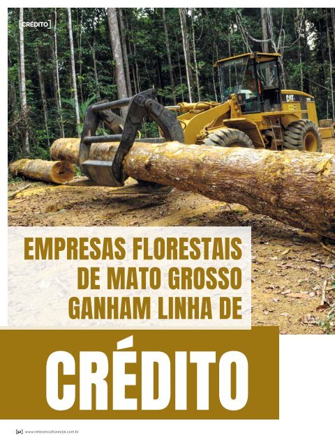 *Abril / 2019 - Referência Florestal 206