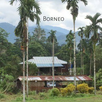 Borneo