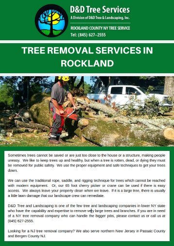 Tree Removal Services In Rockland