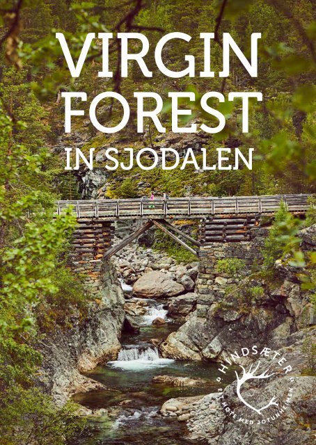 Brochure Virgin Forst in Sjodalen