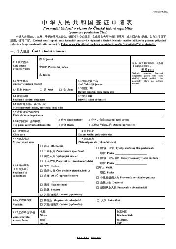 Visa application form