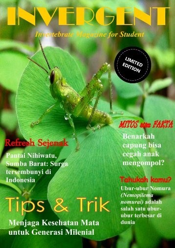 Invertebrate Magazine for Student