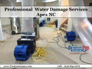 Professional Water Damage Services Apex NC