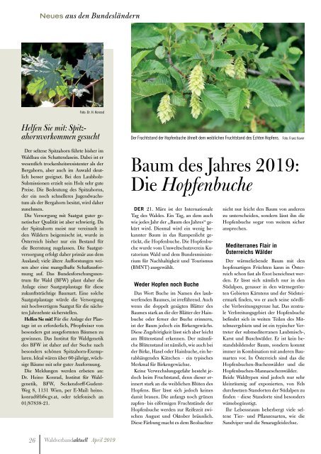 mitgliederzeitung-waldverband-aktuell.ausgabe-2-2019