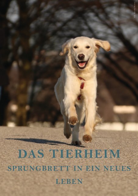 Tierheim Magazin