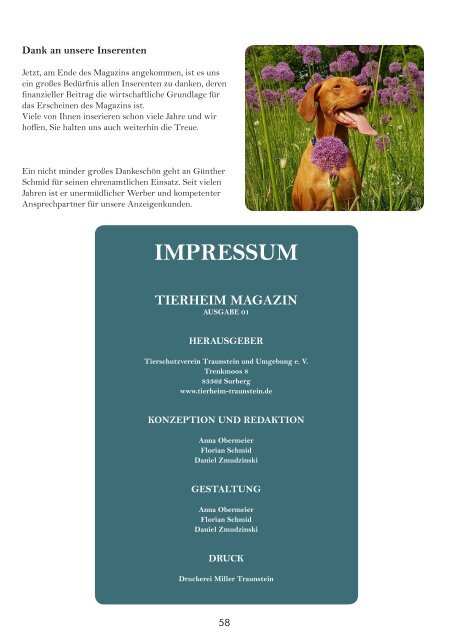 Tierheim Magazin