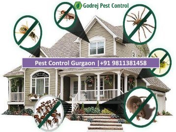 Pest Control Gurgaon 9811381458