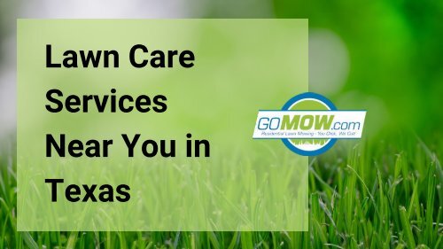 Get the best Professional lawn care near you in Texas