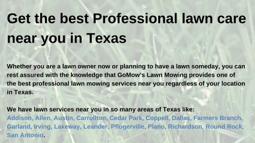 Get the best Professional lawn care near you in Texas