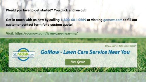 Get the best Professional lawn care near you in Texas