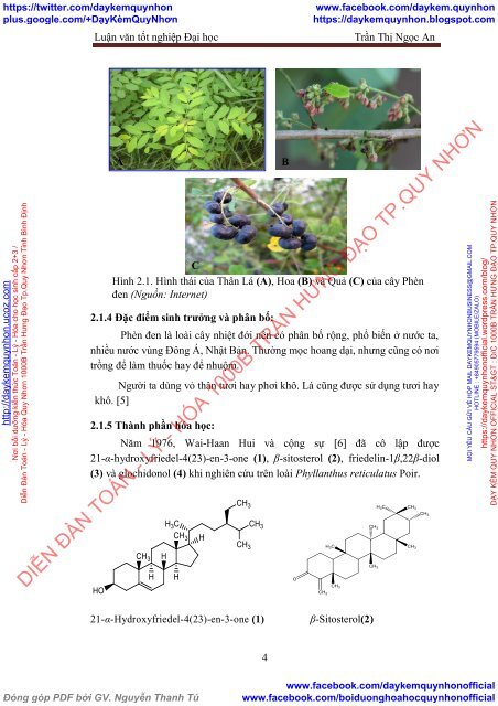 Định tính thành phần hóa học và khảo sát hoạt tính kháng oxy hóa của cây Phèn đen (Phyllanthus reticulatus Poir), Quế (Cinnamomum verum J.Presl)