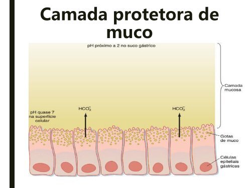 AULA 7- Farmacologia do Trato Gastrointestinal