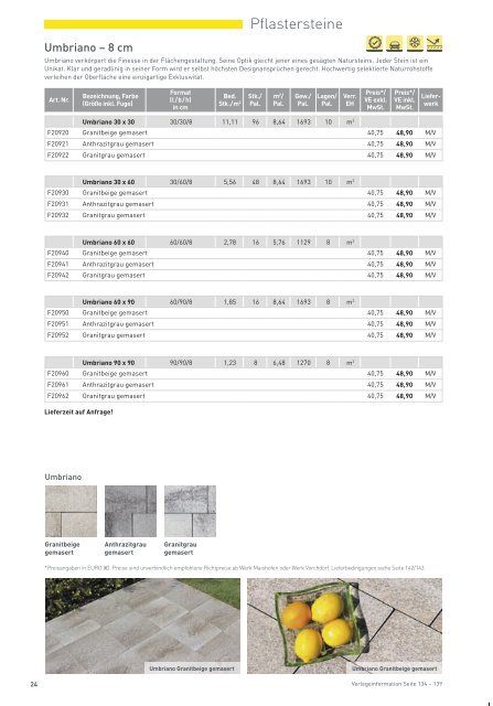 Ebenseer Aussenanlagen 2019