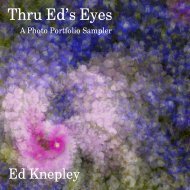 Thru Eds Eyes for eBook Library-Yumpu