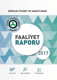 Faaliyet Raporu 2017