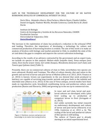 GAPS IN THE TECHNOLOGY DEVELOPMENT FOR THE CULTURE OF SIX NATIVE BURROWING BIVALVES OF COMMERCIAL INTEREST IN CHILE
