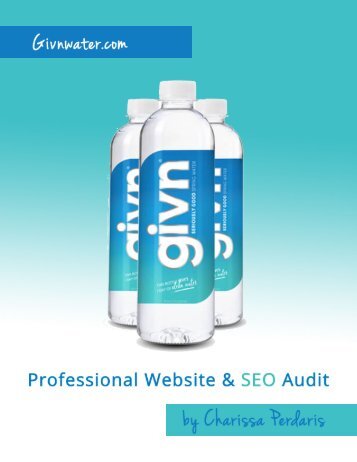 GIVN Website And SEO Audit