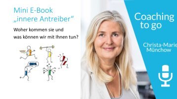 Flip-innere Antreiber