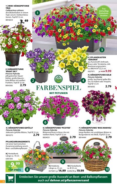 blumenkasten herbst winter Balkonkasten Set Lila Herbst