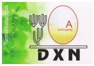 dxn_katalogus