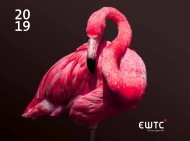 EWTC Sonnenseiten 2019